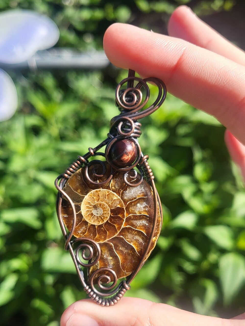 Ammonite Fossil W/ Red Tigers Eye Wire Wrap Pendant